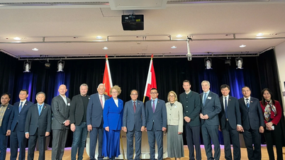 Содействие сотрудничеству между Вьетнамом и Австрией в сфере труда: создание высококачественного рынка труда.