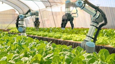 وزارت کشاورزی و محیط زیست به طور مؤثر استراتژی ملی هوش مصنوعی را در زمینه‌های کشاورزی و محیط زیست اجرا می‌کند.