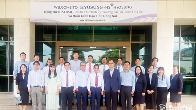 Партийные организации сотрудничают с бизнесом для содействия развитию.