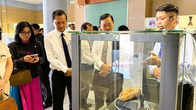 Budaya Oc Eo menandai tonggak sejarah baru.