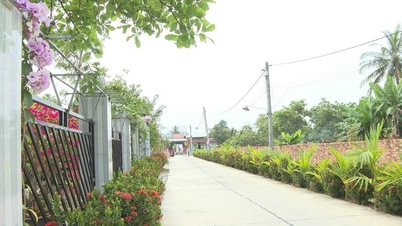 बाक रुओंग में नए ग्रामीण क्षेत्रों के निर्माण के क्षेत्र में एक मजबूत परिवर्तन हो रहा है।