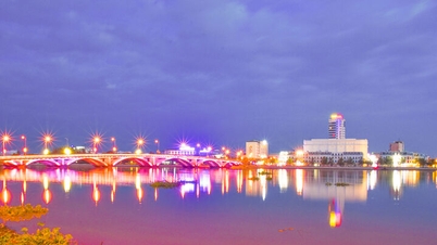 Рач Гія виблискує вночі.