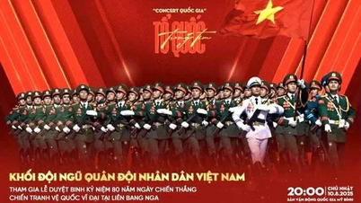 งานประกาศรางวัล Mai Vàng Awards ได้ประกาศรายชื่อผู้เข้าชิง 16 คน เพื่อเข้าสู่รอบการลงคะแนนแล้ว