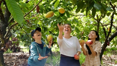 Ny landsbygdsutveckling skapar momentum för att förbättra levnadsstandarden i Cat Tien 2.
