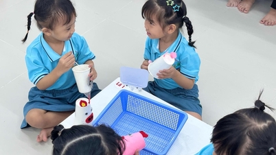 Bandar Raya Ho Chi Minh meninjau keperluan ibu bapa untuk merintis pengajaran bahasa Inggeris untuk kanak-kanak prasekolah.
