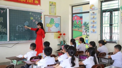Nieuwe richtlijnen voor schoolfusies en personeelsreducties.