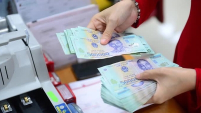 Al descubrir una "mina de oro" pasada por alto por los inversores, la empresa obtiene constantemente ganancias superiores al 20%.