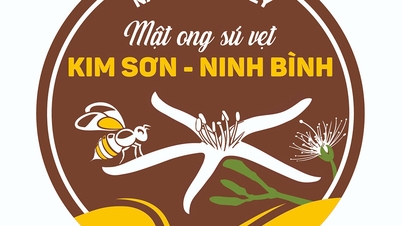 Κατοχύρωση δικαιωμάτων πνευματικής ιδιοκτησίας που σχετίζονται με την επωνυμία «Kim Son Mangrove Honey - Ninh Binh»
