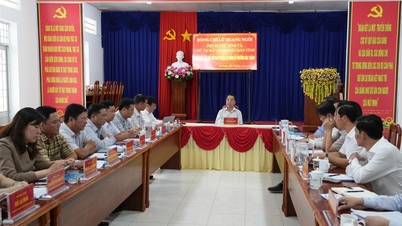 يعمل رئيس اللجنة الشعبية الإقليمية لو كوانغ نغوي مع اللجنة الدائمة للجنة الحزب في منطقة هوا ثانه.