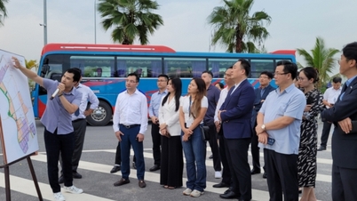 Implementar políticas específicas para atraer inversión.