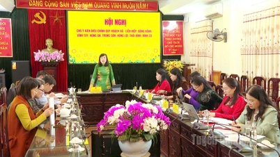 El plan garantiza el logro de los objetivos de desarrollo sostenible en el futuro.