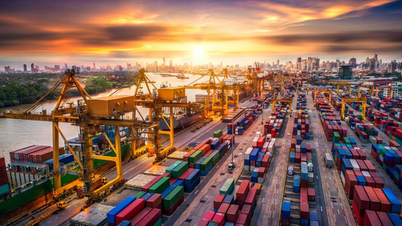 Yeşil lojistik, küresel stratejik bir trend haline geliyor.