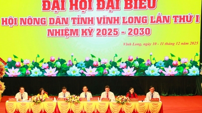 The First Congress of Delegates of the Vinh Long Provincial Farmers' Association was solemnly held.
