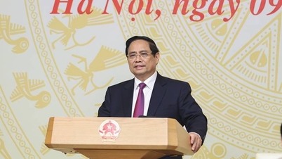 Başbakan Pham Minh Chinh: Yasadışı balıkçılıkla mücadele ve sürdürülebilir balıkçılığın geliştirilmesi olmak üzere iki hedefi de kararlılıkla takip edeceğiz.