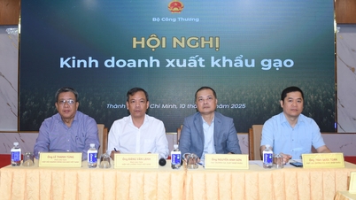 Завершення ланцюжка створення вартості для сприяння сталому експорту рису.