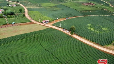 Propojení výroby a rozvoj udržitelného zemědělství.