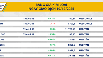 Fed menurunkan suku bunga, pasar komoditas membaik.