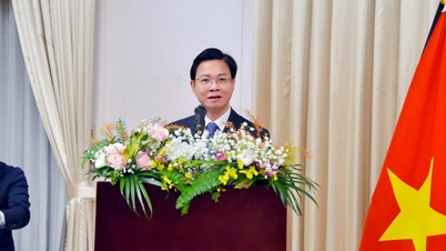 Vietnam dan Jepang merayakan ulang tahun ke-2 Kemitraan Strategis Komprehensif mereka.