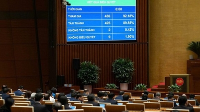 Şartlı iş sektörlerinin sayısını 38 azaltmak ve 20 sektör için düzenlemeleri değiştirmek.