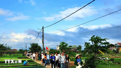 ດ່າໜັງ ສົ່ງເສີມການທ່ອງທ່ຽວກະສິກຳ ແລະ ຂຸດຄົ້ນຄຸນຄ່າຂອງໝູ່ບ້ານຫັດຖະກຳພື້ນເມືອງສີຂຽວ.