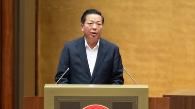 يهدف مطار باك نينه إلى الوصول إلى مستوى الخمس نجوم وأن يكون من بين أفضل 10 مطارات في العالم.