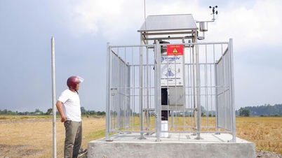 Intelligens fénycsapdák alkalmazásai a kártevők és betegségek monitorozásában és elleni védekezésben.