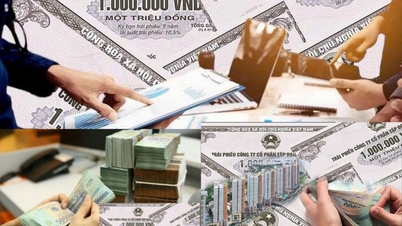 Banky v listopadu vedly oživení trhu s dluhopisy.