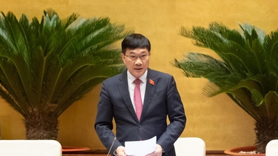 قومی اسمبلی نے دارالحکومت میں بڑے پیمانے پر منصوبوں پر عمل درآمد کے لیے متعدد مخصوص میکانزم اور پالیسیوں کو پائلٹ کرتے ہوئے ایک قرارداد منظور کی۔