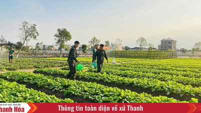 Campanie de emulare pentru victorie în Forțele Armate Provinciale: Legarea muncii de construire a partidului cu studierea și urmarea învățăturilor președintelui Ho Și Min.