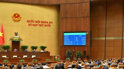 জাতীয় পরিষদ ভিন-থান থুই এক্সপ্রেসওয়ে নির্মাণ প্রকল্পের বিনিয়োগ নীতির উপর একটি প্রস্তাব পাস করেছে।