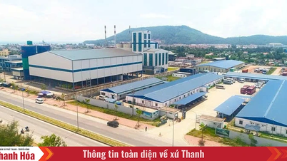 ニソン経済特区の躍進を推進するリソース