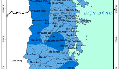 Ploile au tendința de a scădea.