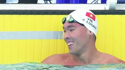 Игры Юго-Восточной Азии 33, 11-12 декабря: Многие вьетнамские пловцы выходят в финалы, чтобы побороться за медали.