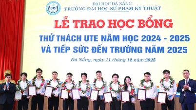 Universitatea de Tehnologie și Educație Da Nang acordă studenților burse în valoare de peste 500 de milioane de VND.