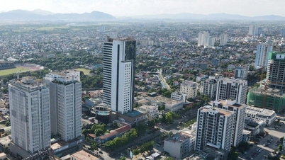 على الرغم من العواصف المتتالية، لا تزال مقاطعة نغي آن تحقق تحصيلاً مثيراً للإعجاب للإيرادات.