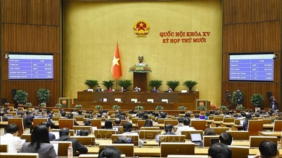 少数民族地域の貧困削減を目的としたプログラムに423兆VNDが割り当てられました。