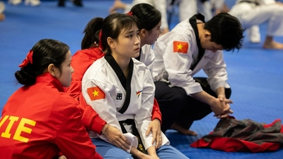 مشجعو جنوب شرق آسيا: "إهمال المنظمين أدى إلى تراجع جودة دورة ألعاب جنوب شرق آسيا".