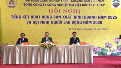 Viet Bac Mine សម្រេច​គោលដៅ​ឆ្នាំ​២០២៥។