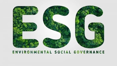 Meey Group: Starta ESG-resan från kärnstegen