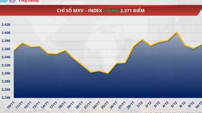 Світові ціни на кукурудзу впали нижче 175 доларів за тонну.