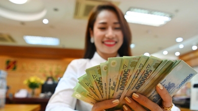 يدعو المجلس الوطني إلى تسريع خارطة طريق إصلاح الرواتب.