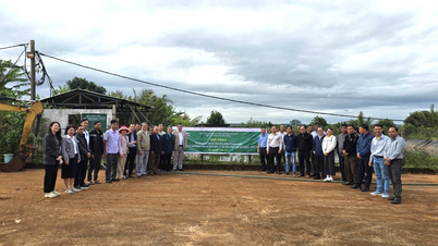 ศูนย์ส่งเสริมการเกษตรเกียลายได้สรุปแบบจำลองการผลิตกาแฟอินทรีย์ไว้ดังนี้