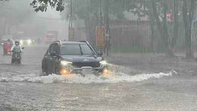 Motivele ploilor abundente din multe zone din sudul Vietnamului în perioada 11-12 decembrie.