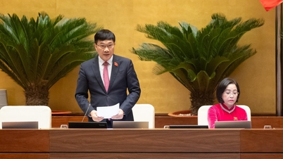 De Nationale Vergadering heeft een resolutie aangenomen over het investeringsbeleid voor het project van de internationale luchthaven Gia Binh.