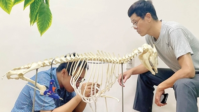 The journey of reviving the specimen: From the preparation room to the exhibition space.