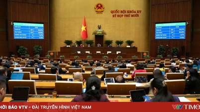 Η Εθνοσυνέλευση ενέκρινε την κατασκευή ενός αεροδρομίου 5 αστέρων Gia Binh, κόστους άνω των 196.000 δισεκατομμυρίων VND.