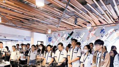 Welk innovatiemodel zal het startuplandschap in Vietnam veranderen?