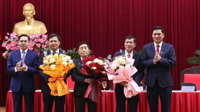 Le professeur Thai Van Thanh a été nommé vice-président du Comité populaire de la province de Nghệ An.