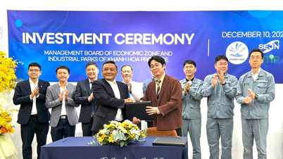 Otra empresa de construcción naval ha arrendado terrenos en el Parque Industrial de Ninh Thuy.