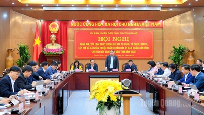 The Provincial People's Committee evaluates and ranks the quality of agencies, organizations, units, collectives, and individuals.